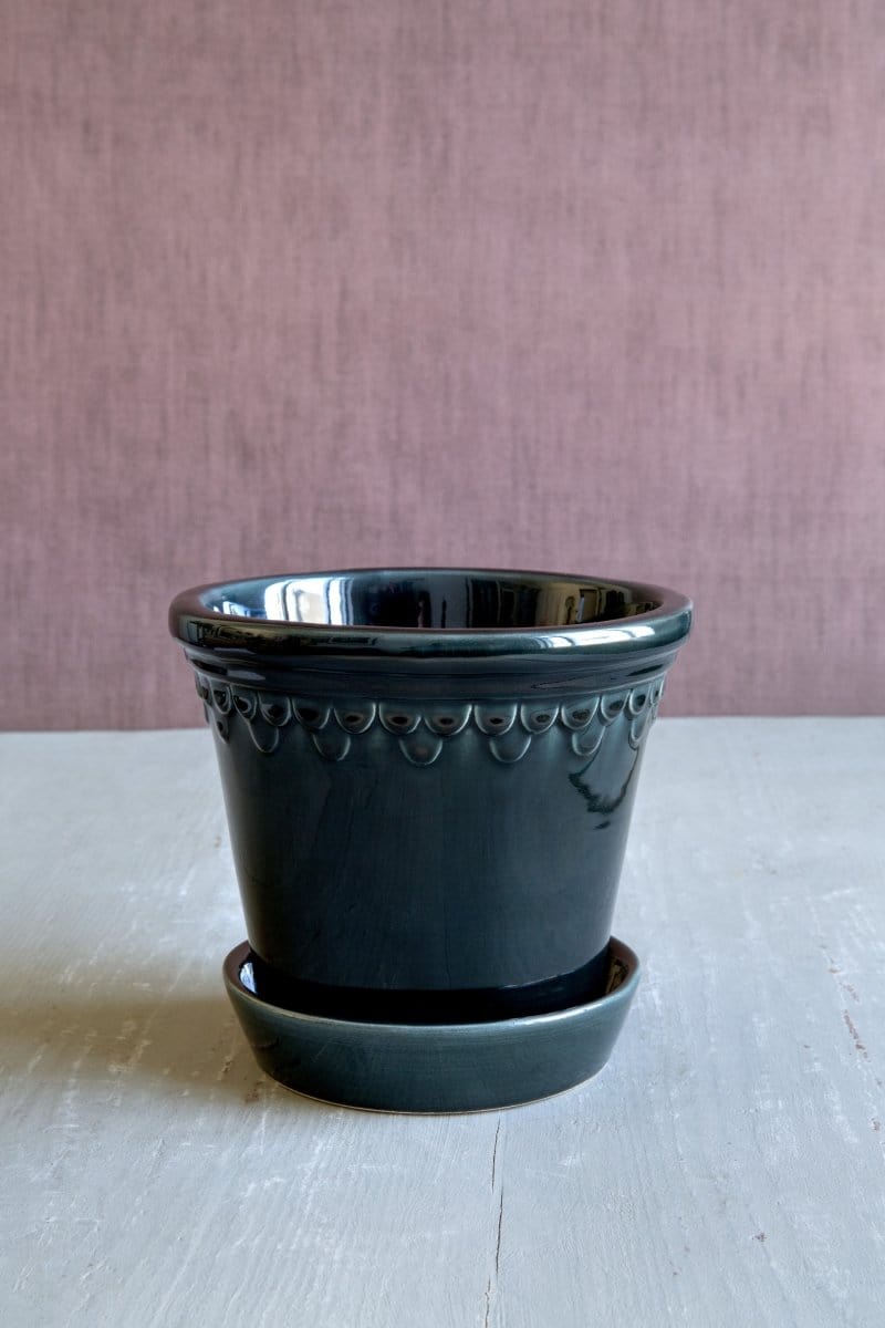 Københavner 'Glazed by Bergs', petroleumsblå - Blomsterverden